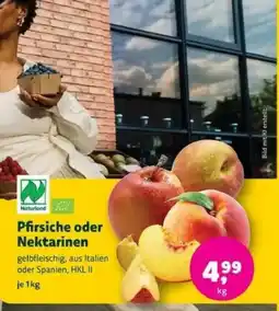 Biomarkt Pfirsiche oder Nektarinen Angebot