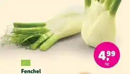 Biomarkt Fenchel Angebot