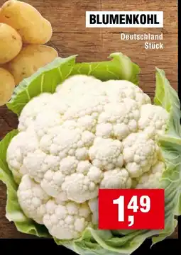 EDEKA Foodservice BLUMENKOHL Angebot
