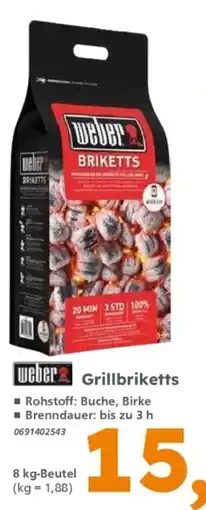 Globus Baumarkt weber Grillbriketts Angebot