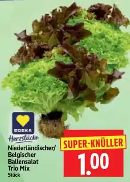 Edeka Herkules EDEKA Herzstücke Niederländischer/Belgischer Ballensalat Trio Mix Angebot