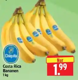 Edeka Herkules Chiquita Costa Rica Bananen Angebot