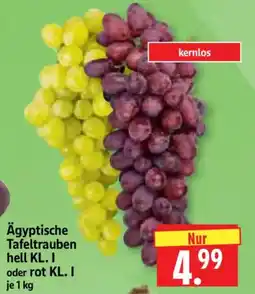 Edeka Herkules Ägyptische Tafeltrauben Angebot