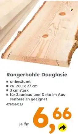 Globus Baumarkt Rangerbohle Douglasie Angebot