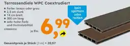 Globus Baumarkt Terrassendiele WPC Coextrudiert Angebot