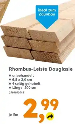 Globus Baumarkt Rhombus-Leiste Douglasie Angebot