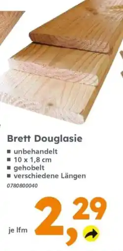 Globus Baumarkt Brett Douglasie Angebot