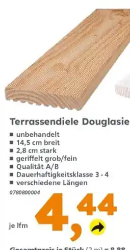 Globus Baumarkt Terrassendiele Douglasie Angebot