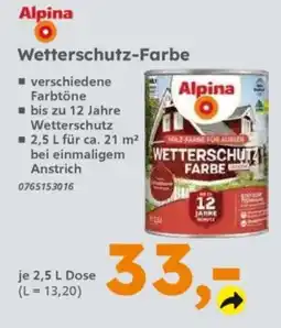 Globus Baumarkt Alpina Wetterschutz-Farbe Angebot