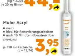 Globus Baumarkt Maler Acryl Angebot