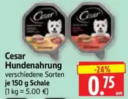 Edeka Herkules Cesar Hundenahrung Angebot