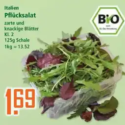 Klaas und Kock Italien Pflücksalat Angebot