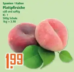 Klaas und Kock Plattpfirsiche Angebot