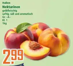 Klaas und Kock Nektarinen Angebot