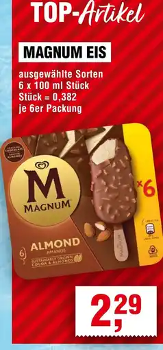 EDEKA Foodservice MAGNUM EIS Angebot