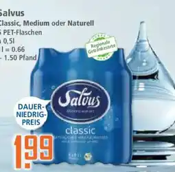 Klaas und Kock Salvus classic Angebot