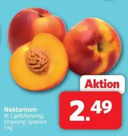 Markant Markt Nektarinen Angebot