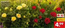 Netto Marken-Discount Rosen Busch Angebot