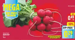 NP Discount Deutschland Radieschen Angebot