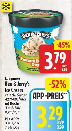 NP Discount Langnese Ben & Jerry's Ice Cream Angebot