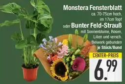 Edeka Monstera Fensterblatt oder Bunter Feld-Strauß Angebot