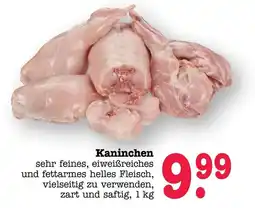 Scheck-in-Center Kaninchen Angebot