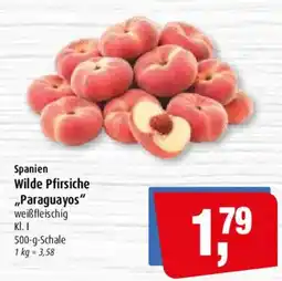 Markant Wilde Pfirsiche "Paraguayos" Angebot