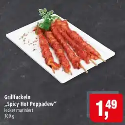 Markant Grillfackeln "Spicy Hot Peppadew" Angebot