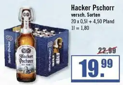 Zisch Hacker Pschorr Angebot