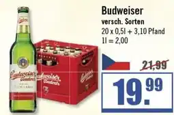 Zisch Budweiser Angebot