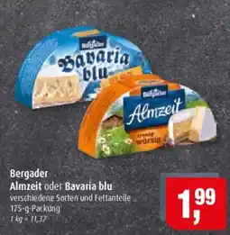 Markant Bergader Almzeit oder Bavaria blu Angebot