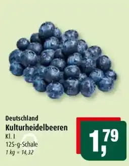 Markant Kulturheidelbeeren Angebot