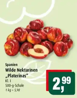 Markant Wilde Nektarinen "Platerinas" Angebot