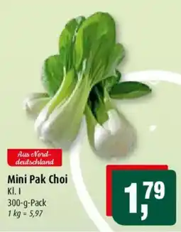 Markant Mini Pak Choi Angebot