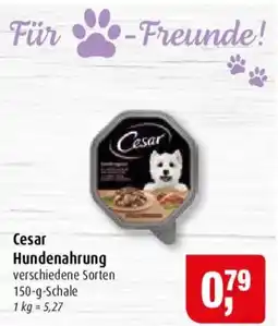 Markant Cesar Hundenahrung Angebot