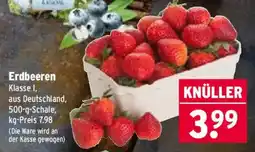 Wasgau Erdbeeren Angebot
