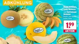 Wasgau SanLucar Honig Melonen, Galia Melonen oder Cantaloupe Melonen Angebot