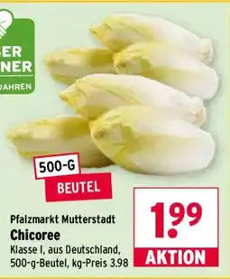 Wasgau Chicoree Angebot