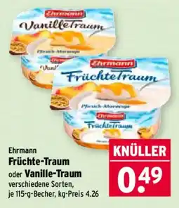 Wasgau Ehrmann Früchte-Traum oder Vanille-Traum Angebot