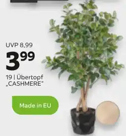 Mömax Übertopf „CASHMERE“ Angebot
