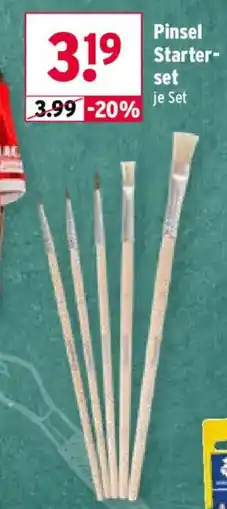 Wasgau Pinsel Starterset Angebot