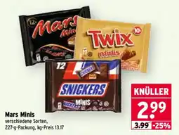 Wasgau Mars Minis Angebot