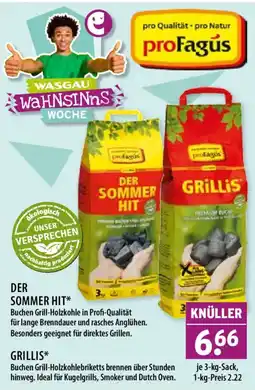 Wasgau DER SOMMER HIT* proFagus Angebot
