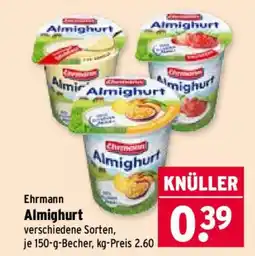 Wasgau Ehrmann Almighurt Angebot