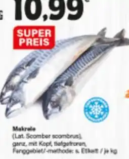LEDO Makrele Angebot