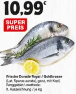 LEDO Frische Dorede Royal / Goldbrasse Angebot