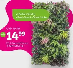 Mömax Kunstpflanze „FARNMATTE" Angebot