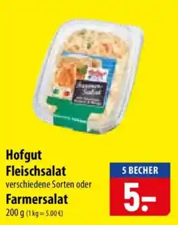Famila Nord Ost Hofgut Fleischsalat Angebot