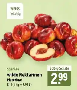 Famila Nord Ost wilde Nektarinen Platerinas Angebot