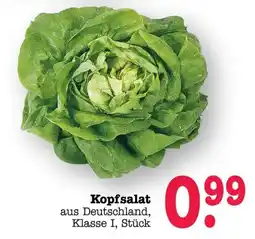 Scheck-in-Center Kopfsalat Angebot